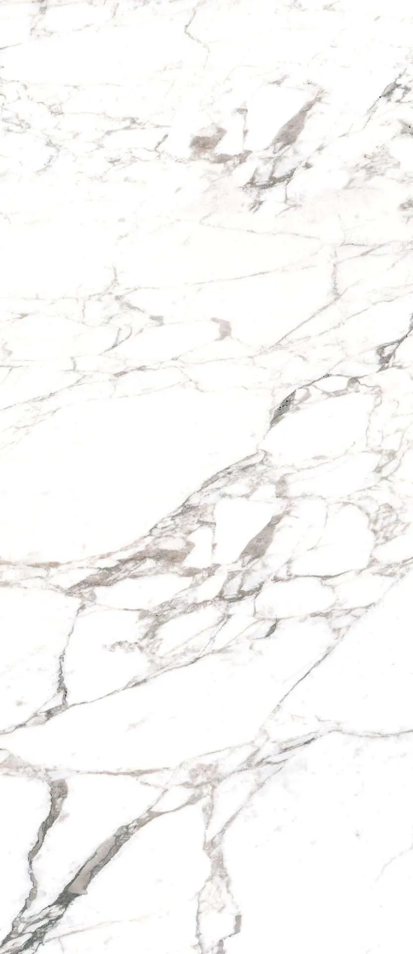 Керамогранит 11570090 Marmoker Calacatta Extra Honed 6mm 120x278