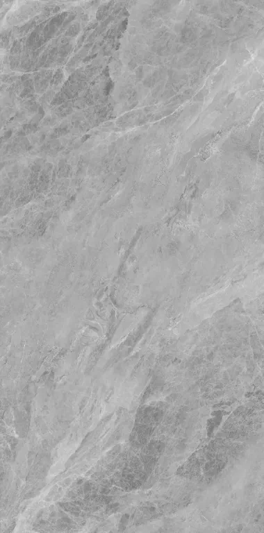Керамогранит NTT3007P Breccia Light Grey 120x240