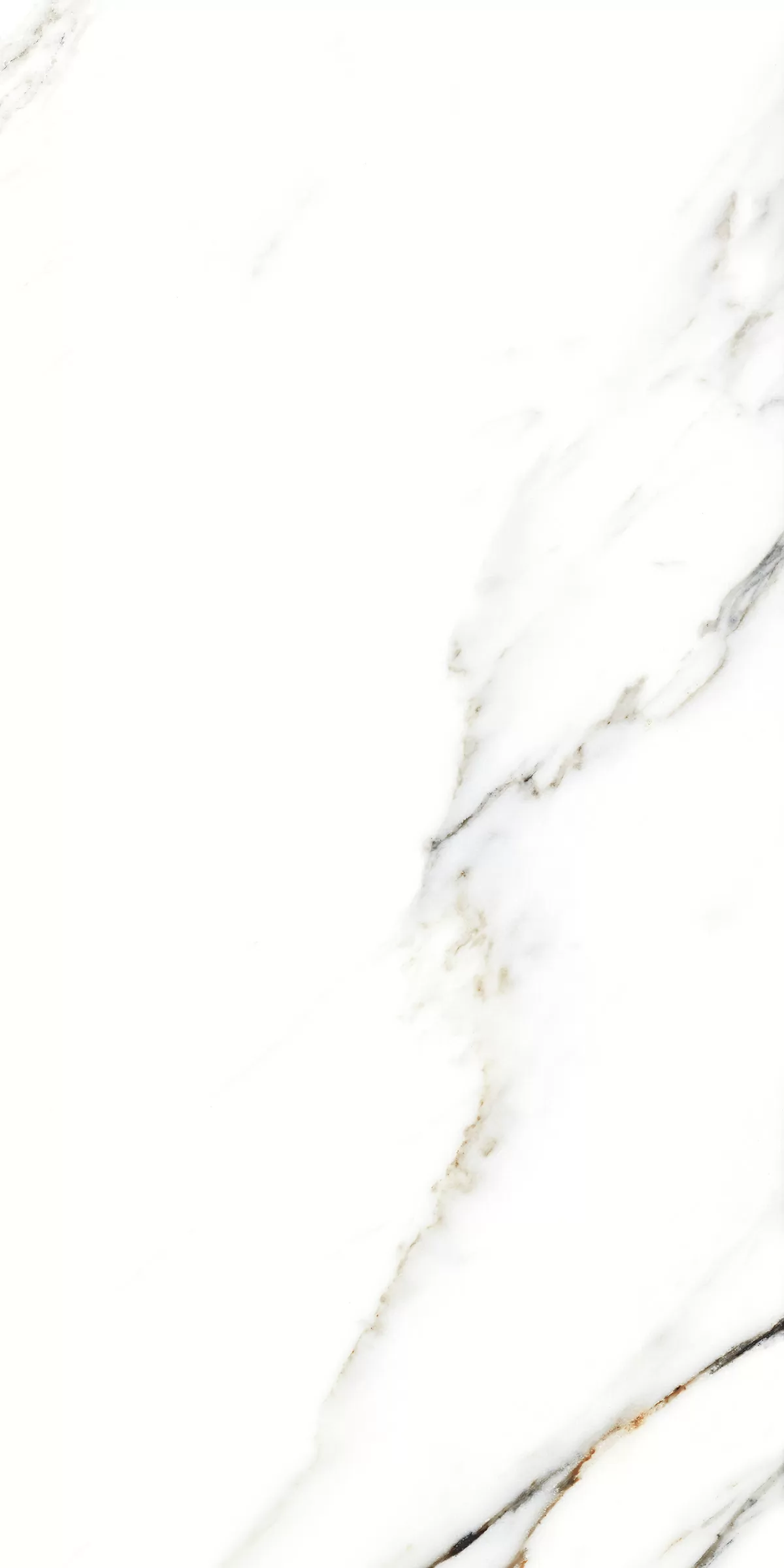 Керамогранит 893 Fantastic White 120x60