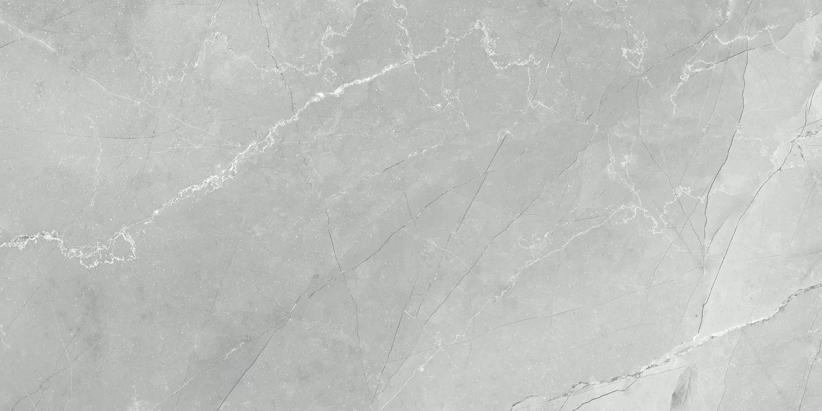 Керамогранит 60120AMB15P Armani Marble Gray 60x120