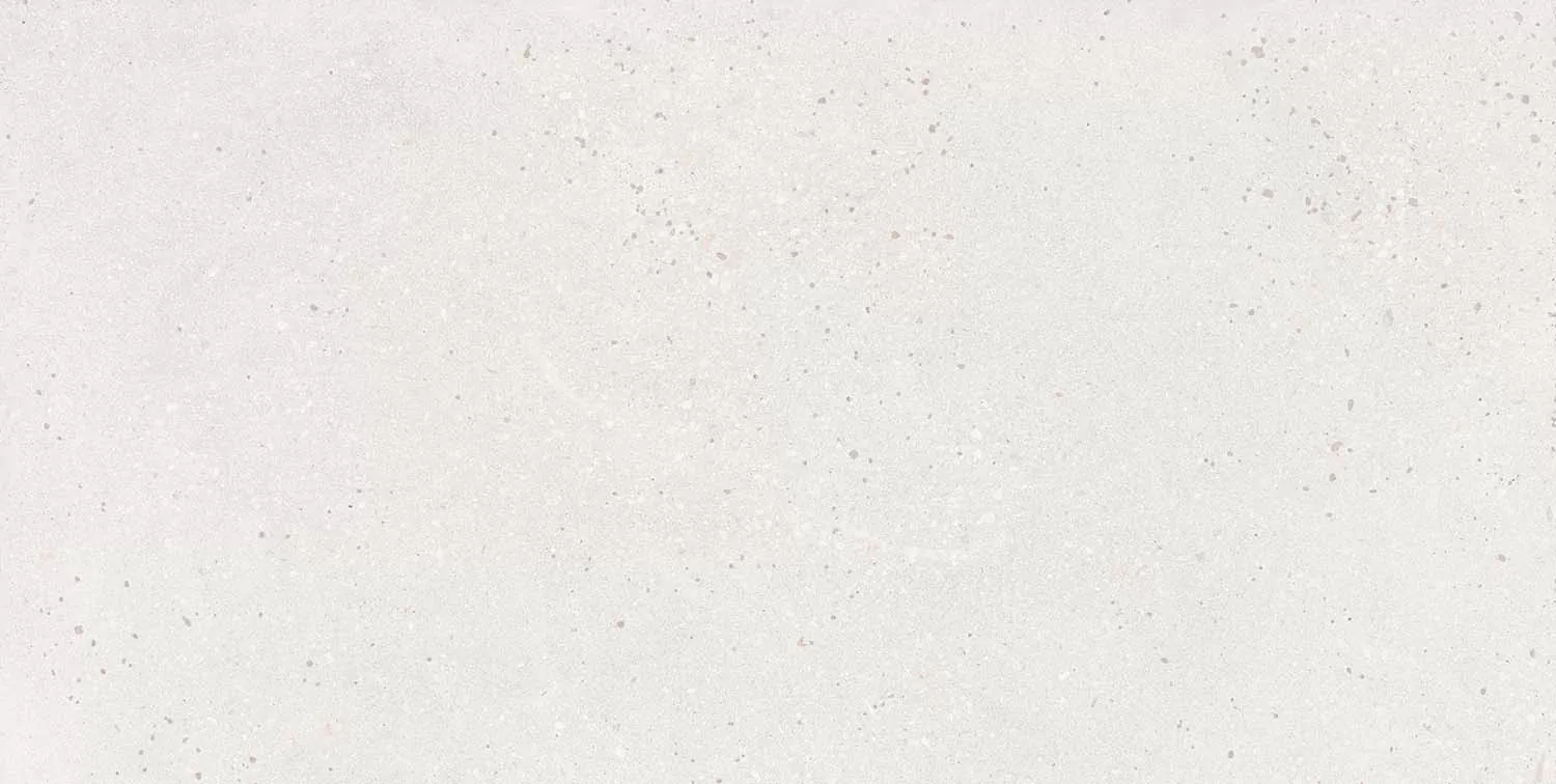 Керамогранит Memory Blanco Matt 60x120