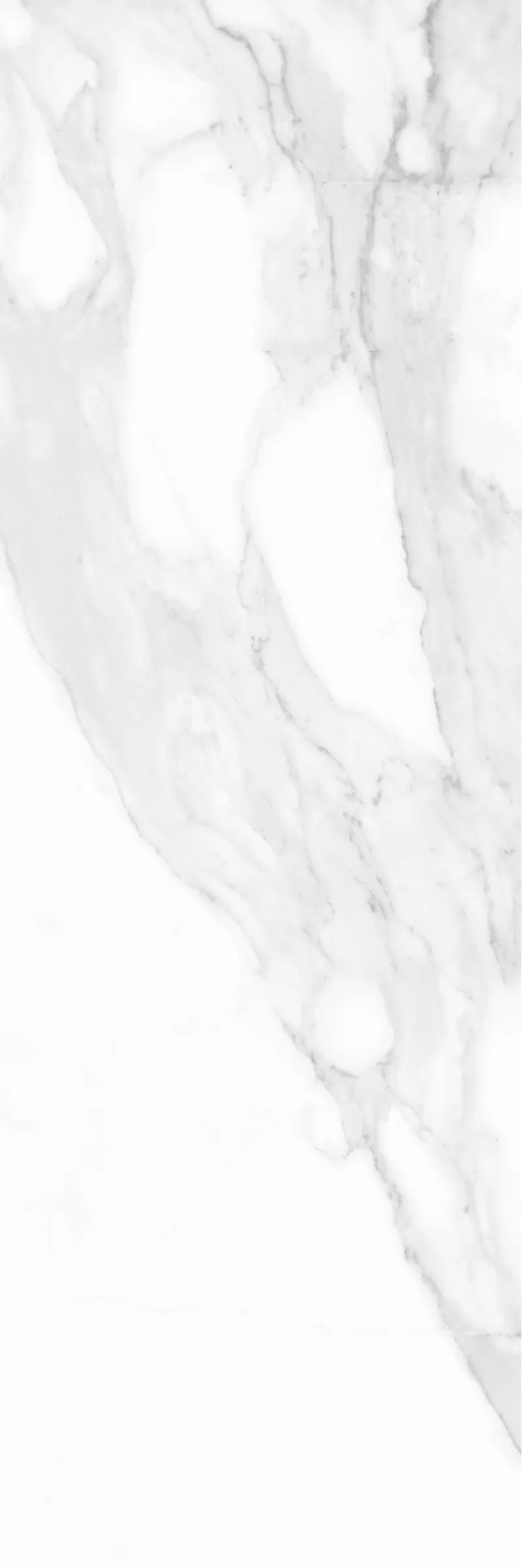 Плитка Calacatta White Rett 25x75