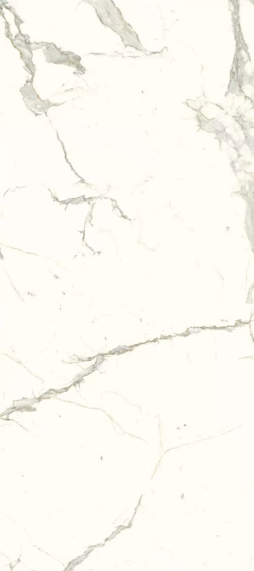Керамогранит L2712332MF6 White Calacatta Luc 120x270