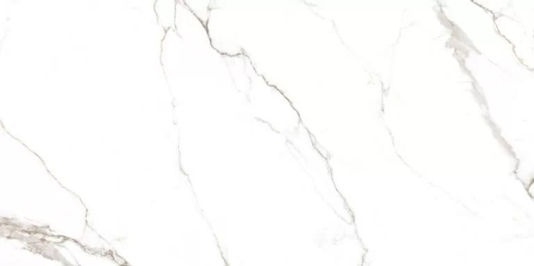 Керамогранит NTT9122M Barbara White Mat 60x120
