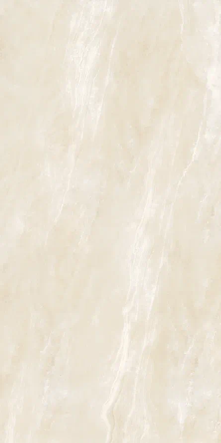 Керамогранит 247 DIANA 60x120