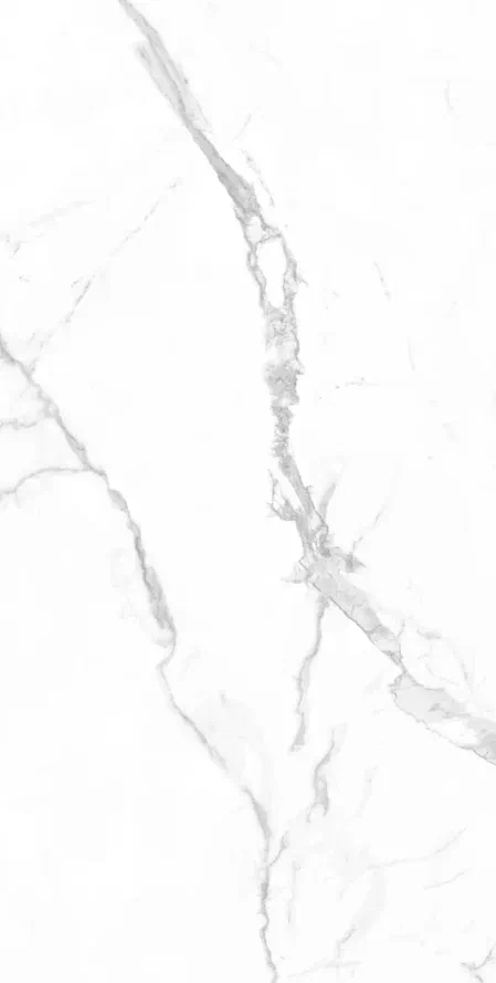 Керамогранит 903 STATUARE 80х160