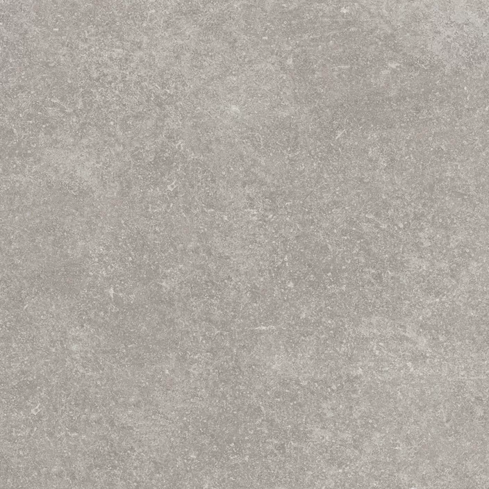 Керамогранит 100324749 Verbier Silver 59.6x59.6