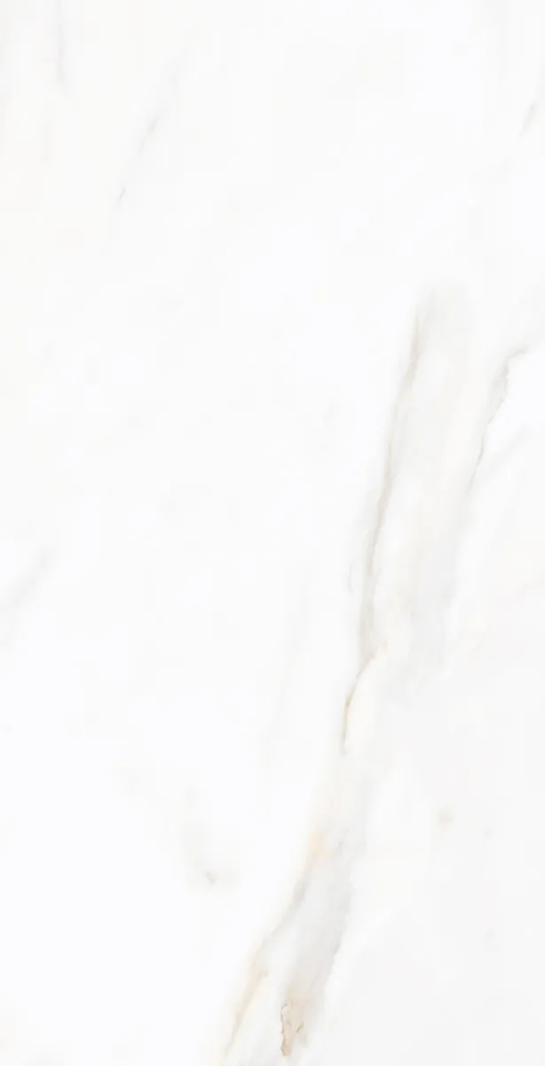 Керамогранит N9608T30 Sharon Light Polished 60х120