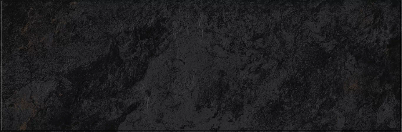 Плитка 618 Image Dark 32,5х100