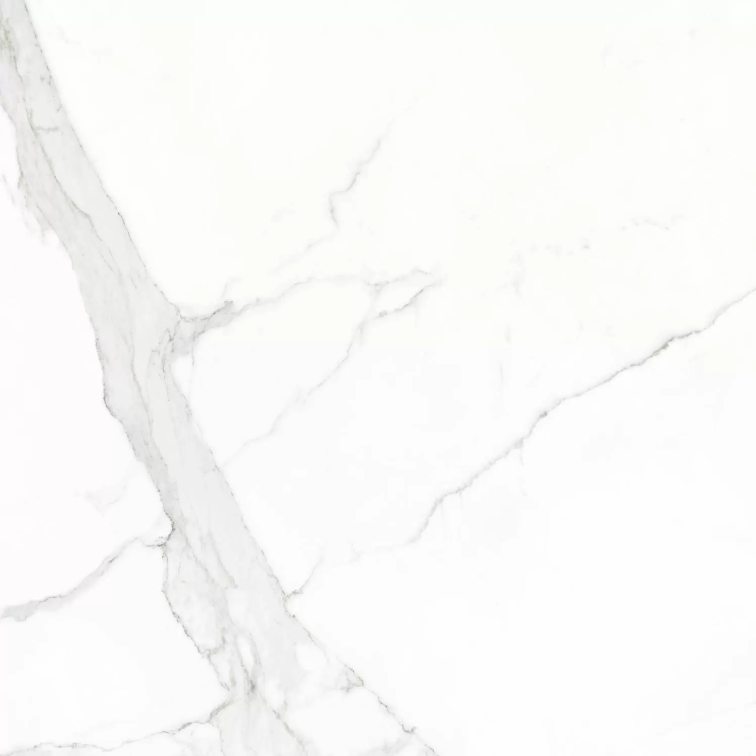 Керамогранит Statuario Mate Rect 60x60