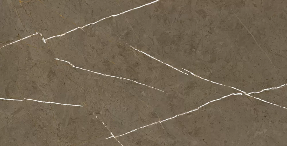 Керамогранит BHM-5009 Stone Brown 3D ink-soft glaze 60x120