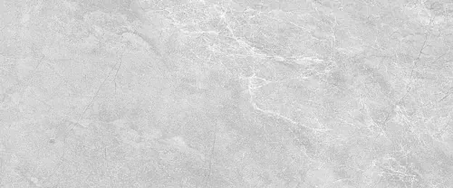 Плитка 010100001542 Cameo grey 01 25х60