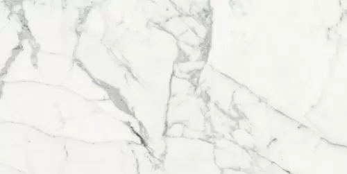 Керамогранит 769856 Les Origines De Rex Blanc Matte Rett 60x120