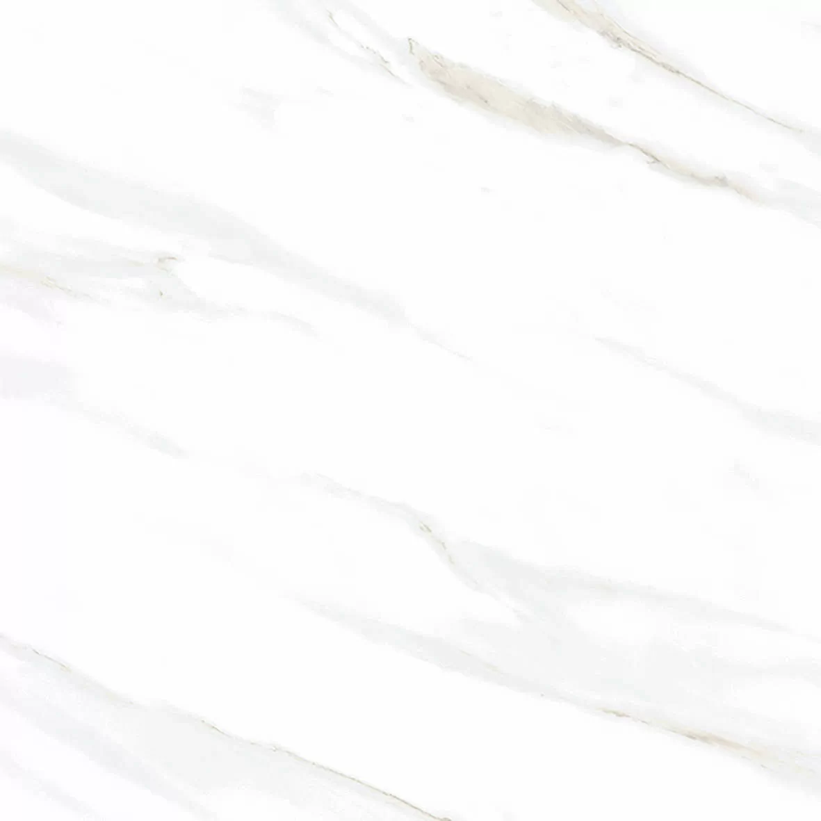 Керамогранит Calacatta Clarity Gold Белый Матовый 80х80