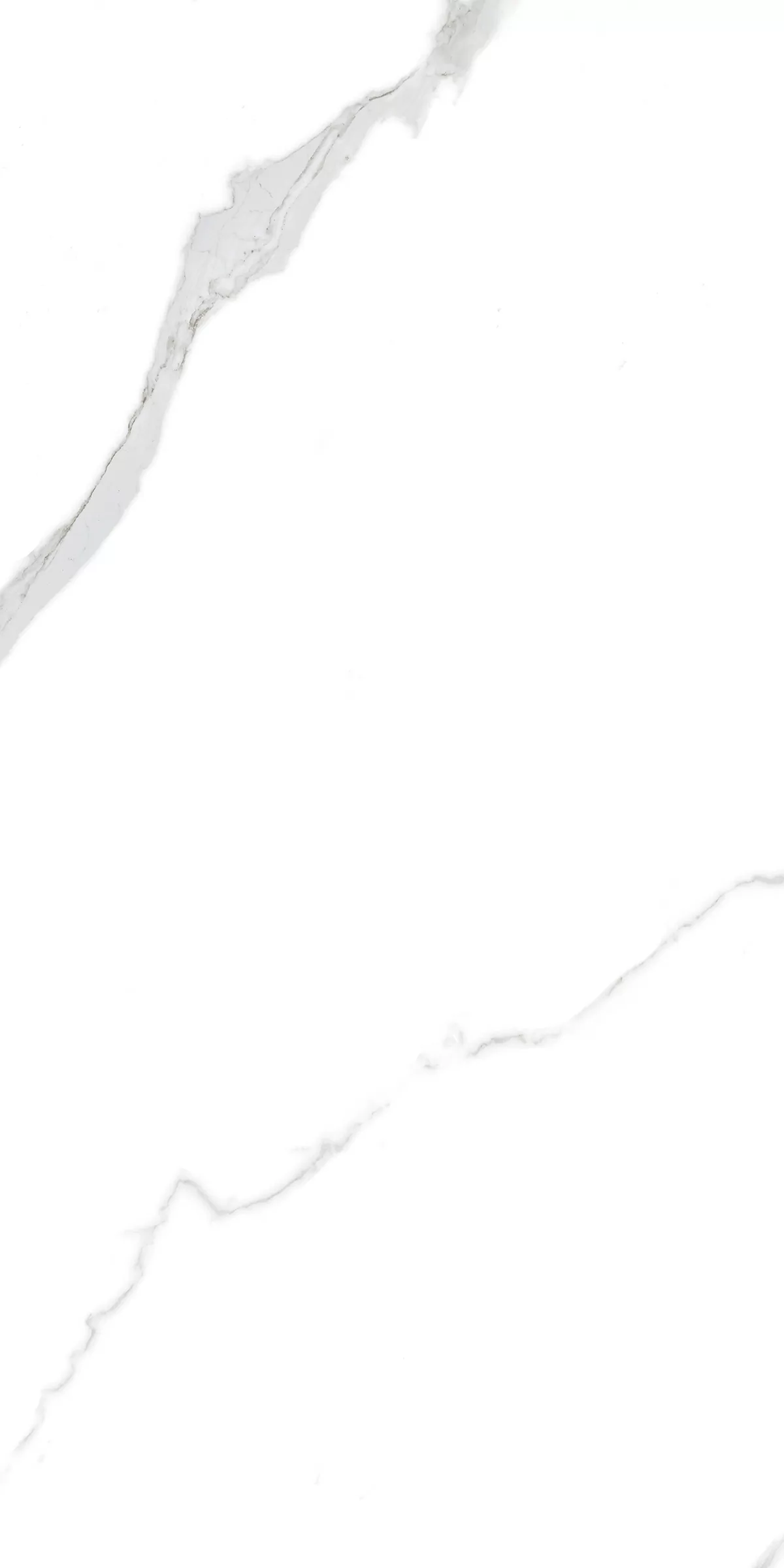 Керамогранит 897 Perla Blanco 120x60