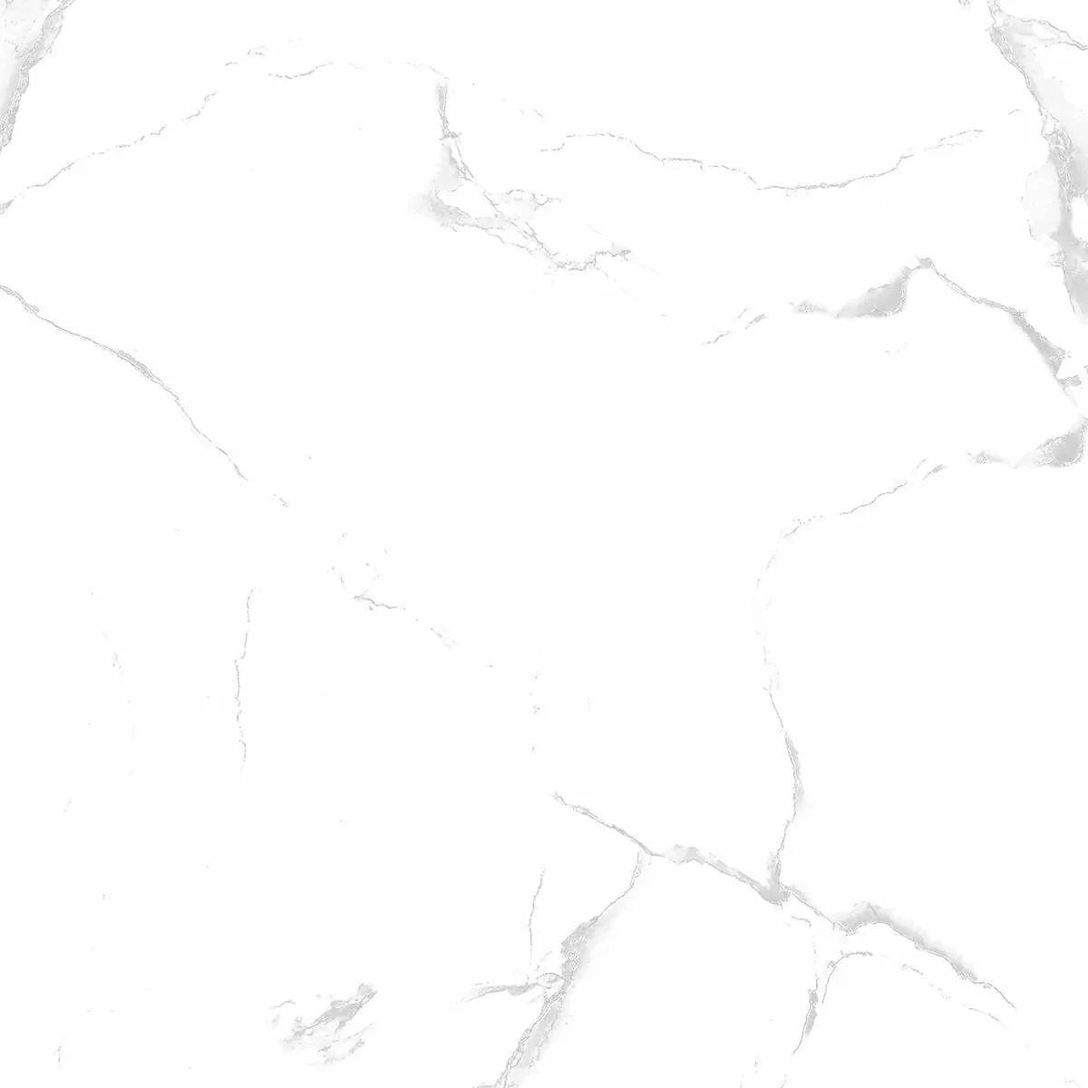 Керамогранит Silver white PGVT 60x60
