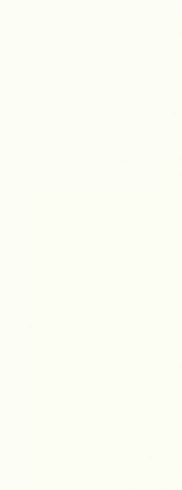 Плитка White matt 45x120