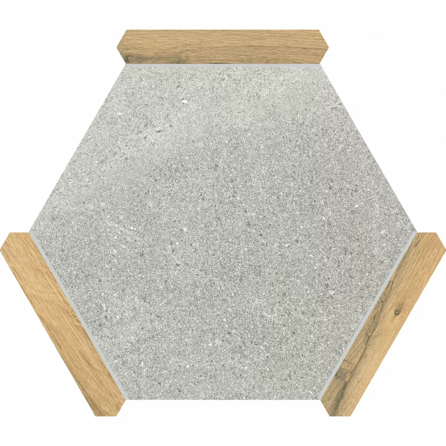 Керамогранит Sacramento Ceniza Pino 22x25