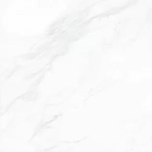 Керамогранит G281PR Payer Elegant 60x60