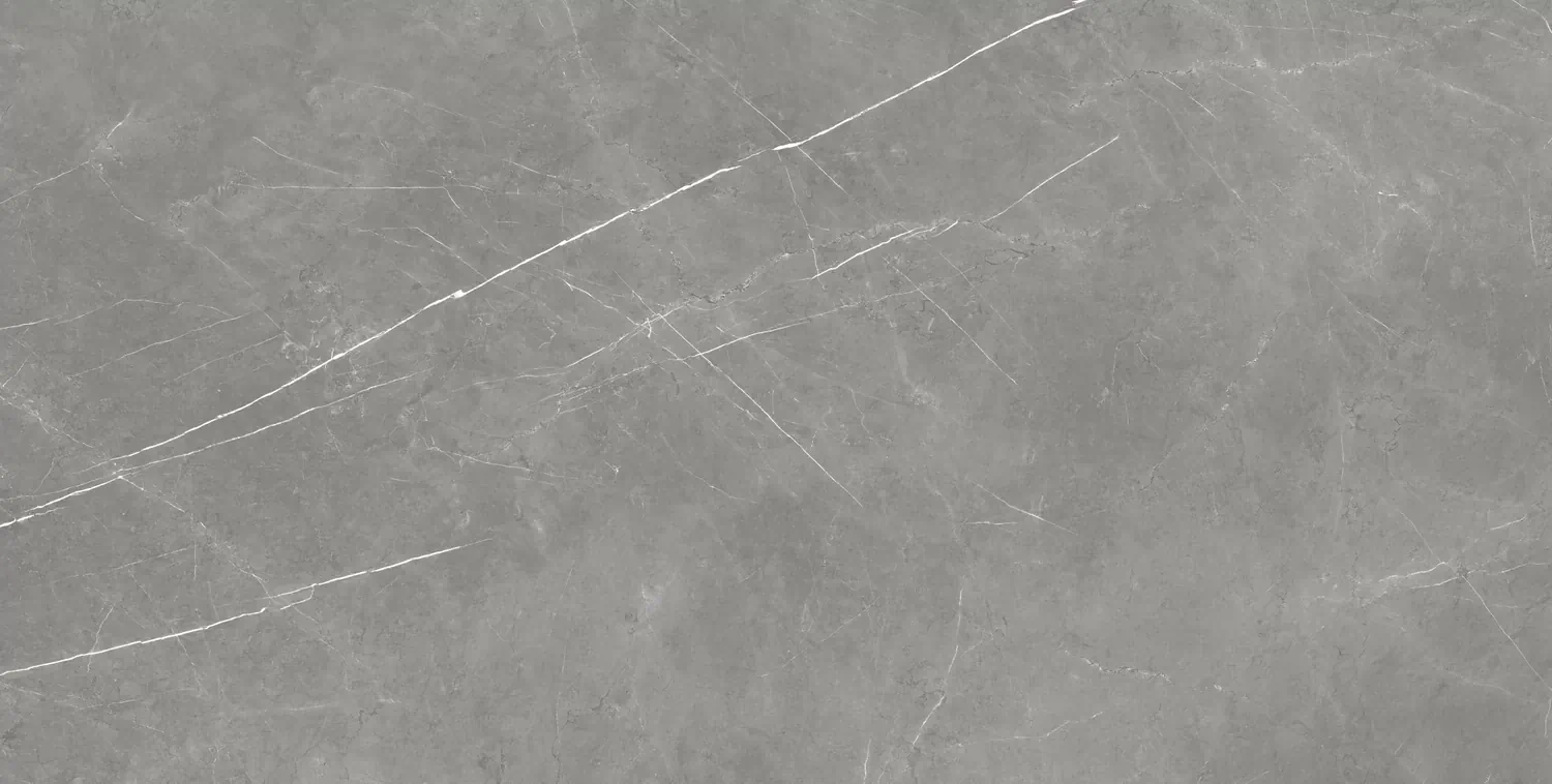 Керамогранит 610010002710 Forte dei Marmi Elegant Grey Rett 80x160