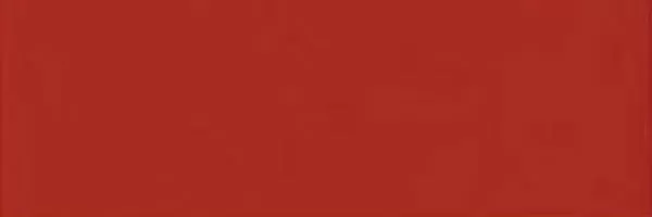 Плитка Citta Rosso MIOW 10*30