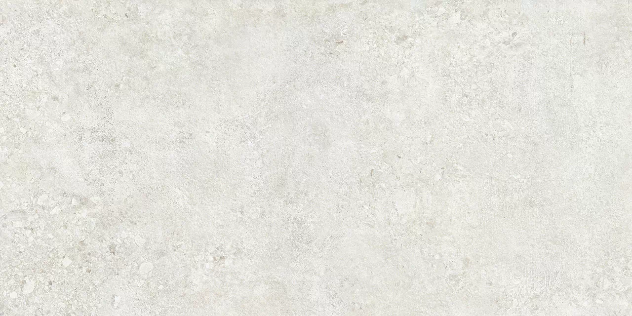 Керамогранит TZ612NTT9501L Terrazzo 60x120