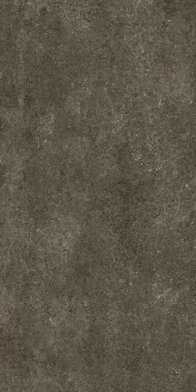 Керамогранит 768585 Sensi Brown Fossil Nat Ret 6mm 120x240
