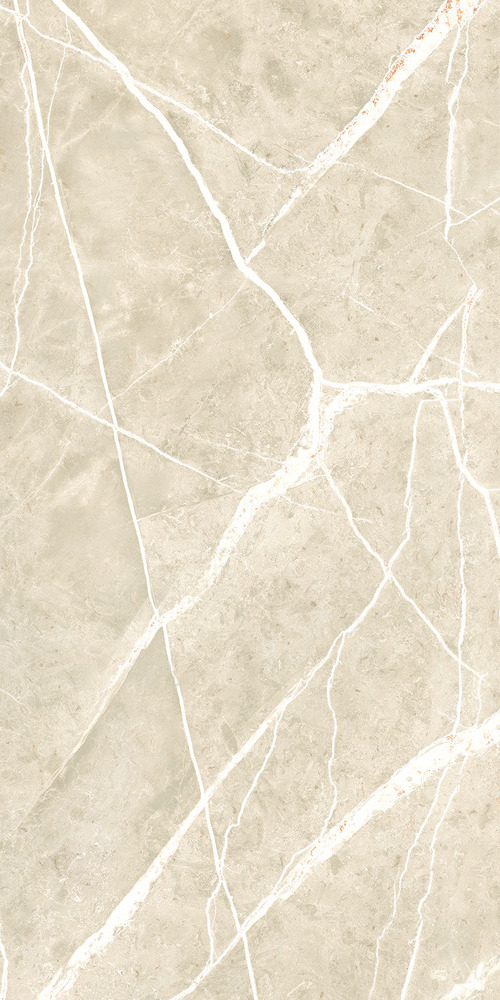 Керамогранит NTT99619PC Granite Wisdom Stone Punch Carving 60x120