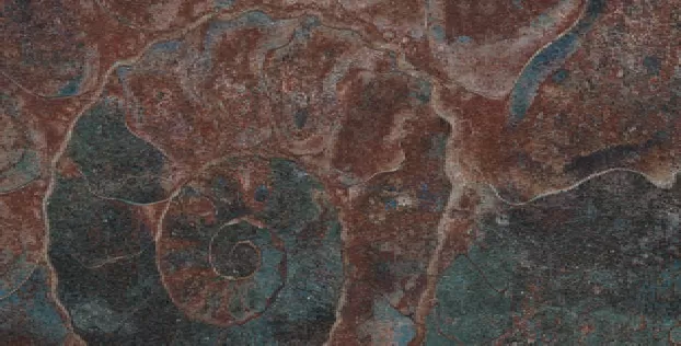 Керамогранит FM3366 Fossil Mix 33х66