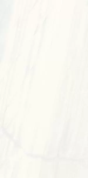 Керамогранит P612480 Bianco Covelano Soft 60x120