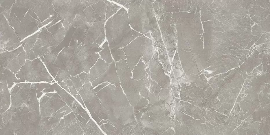 Керамогранит Charm Grey Polish 60x120