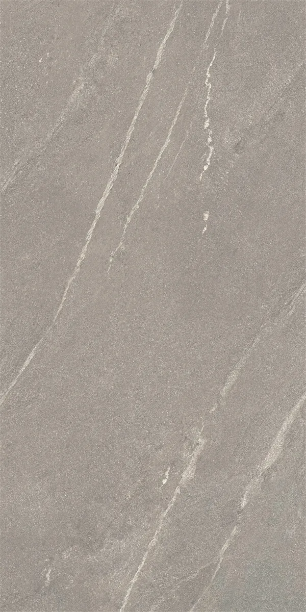 Керамогранит P14507.6 Tiger Matt Grey Rect 60x120