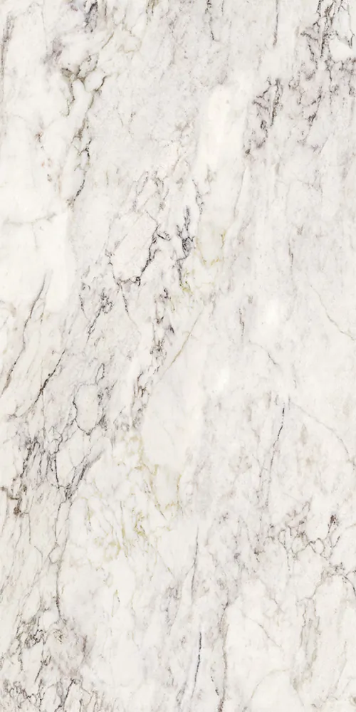 Керамогранит 274102 Breccia Capraia Lap Ret 60x120