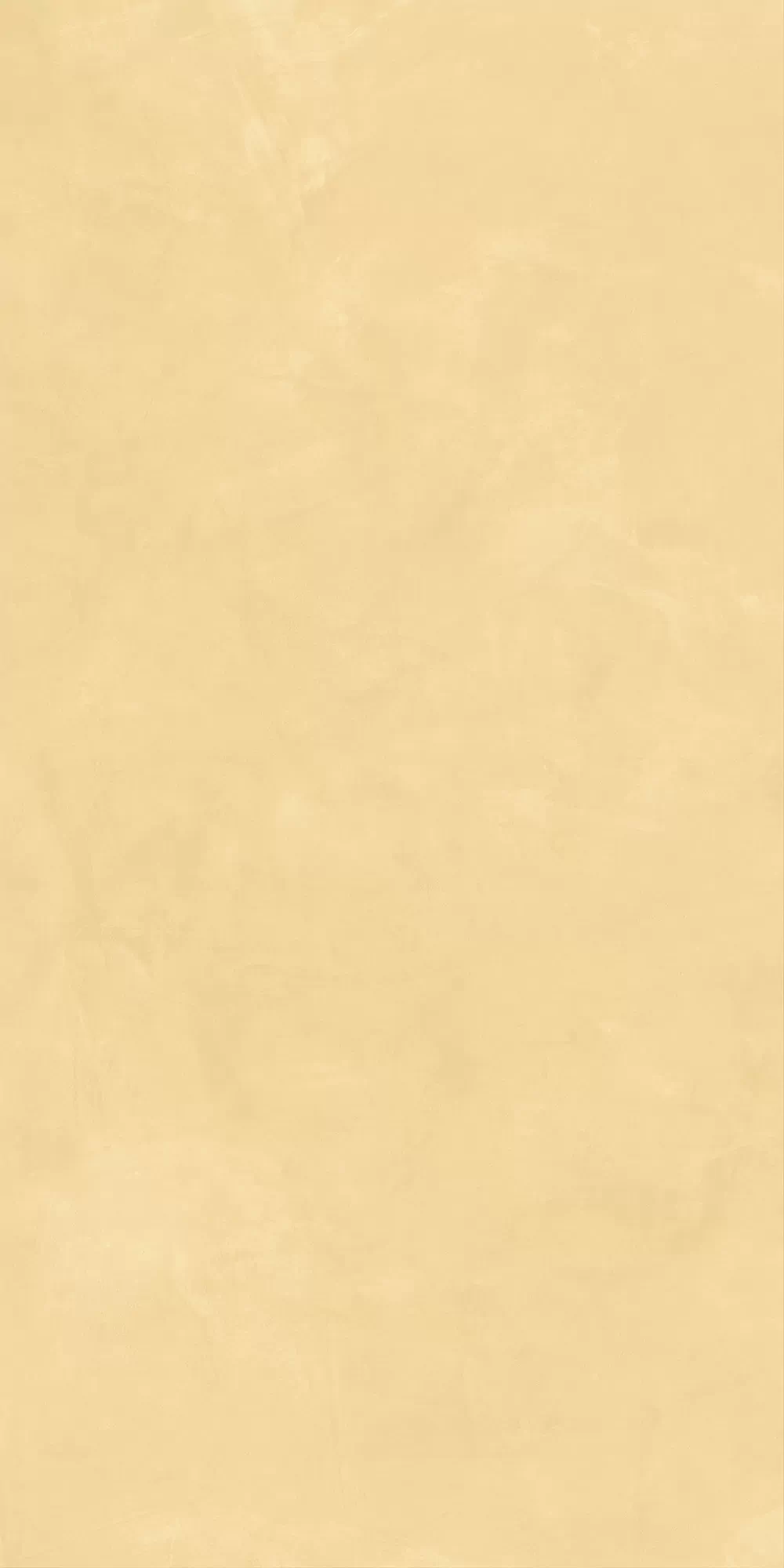 Керамогранит AHEE Join Mango Soft 60x120