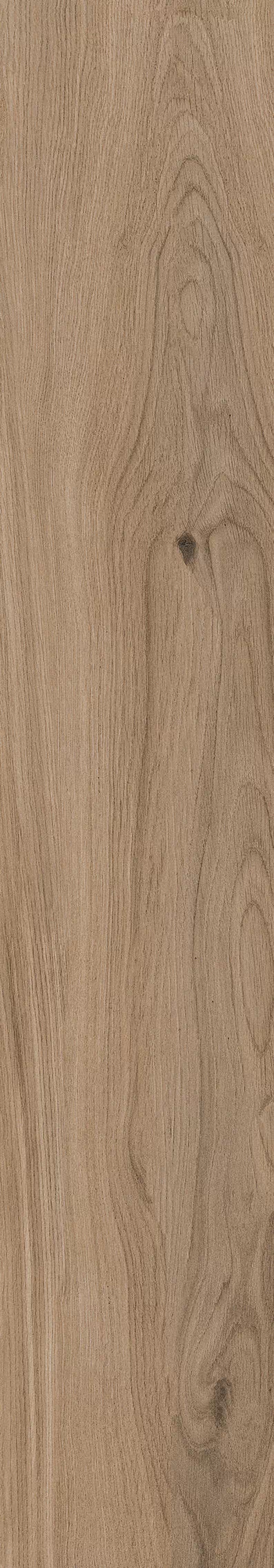 Керамогранит 1055 Casa Brown Mate 120x20