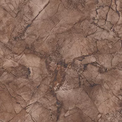 Керамогранит P 1139 Rivera Brown 60x60