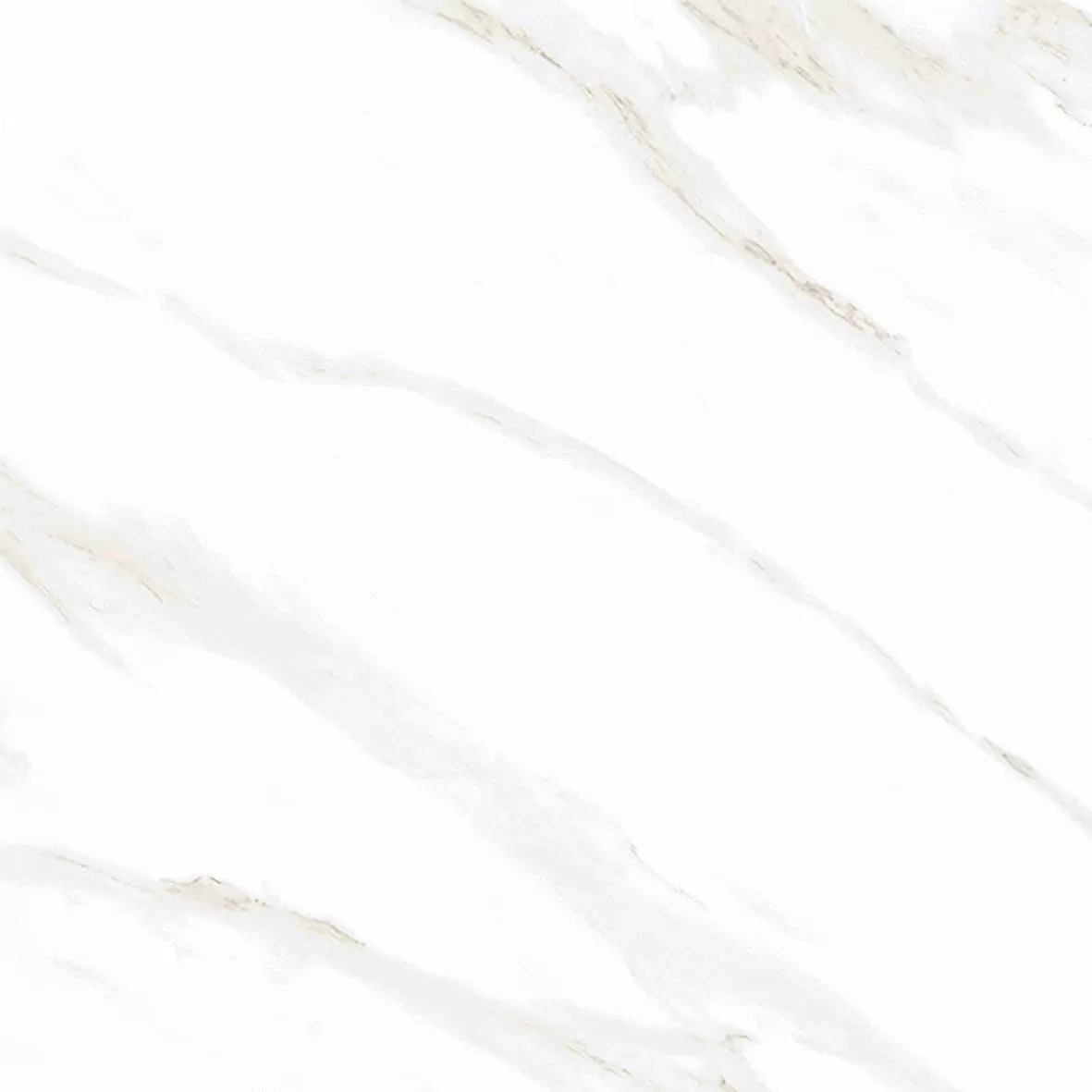 Керамогранит Calacatta Clarity Gold Белый Матовый 80х80