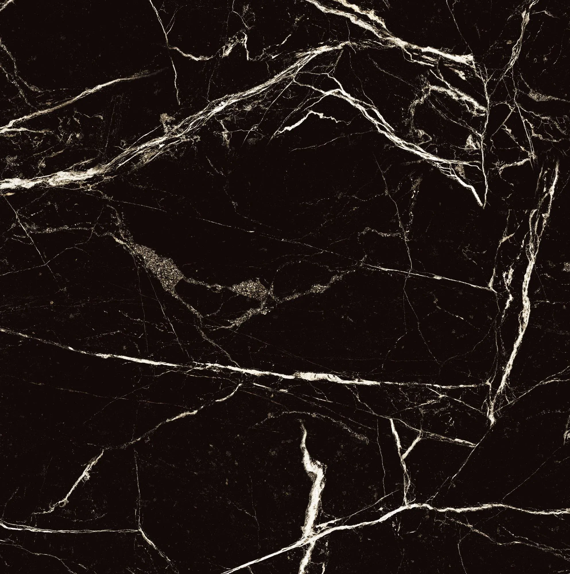 Керамогранит HG2008-A Black Spinder High Gloss 60x60