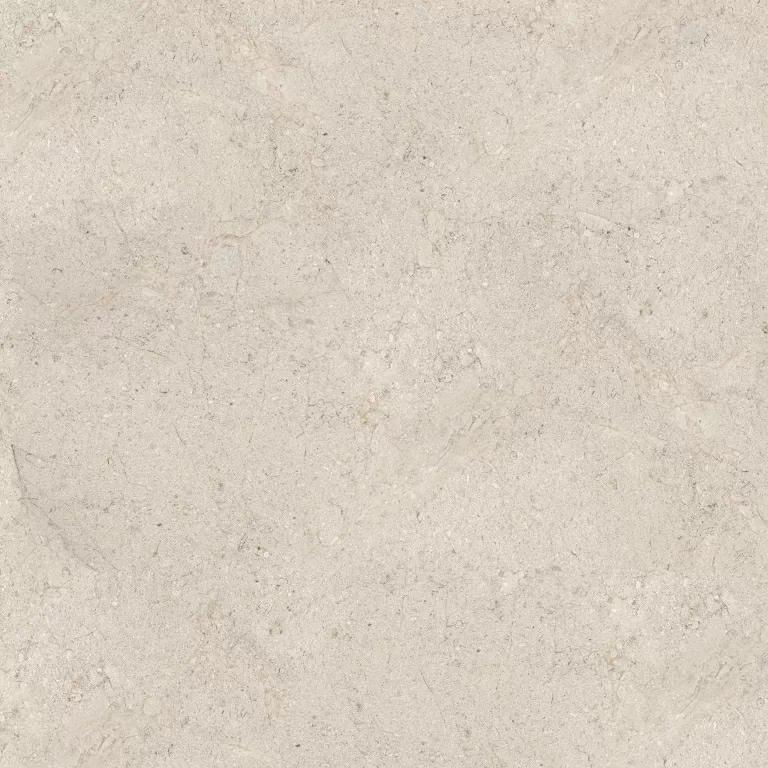 Керамогранит 100348020 Dorcia Bone L 120x120