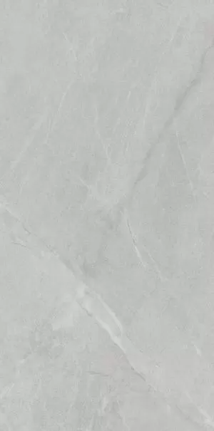 Керамогранит PL612498 Gris De Savoie Lucidato 60x120
