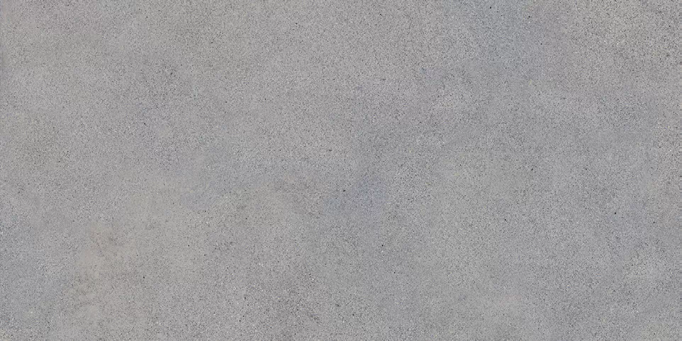 Керамогранит NR206 Elgon Grey 60x120