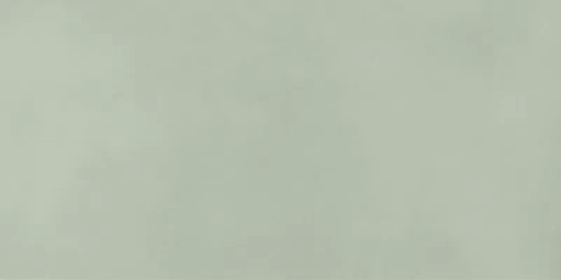 Плитка fRQ8 Color Mood Menta Matt 80x160