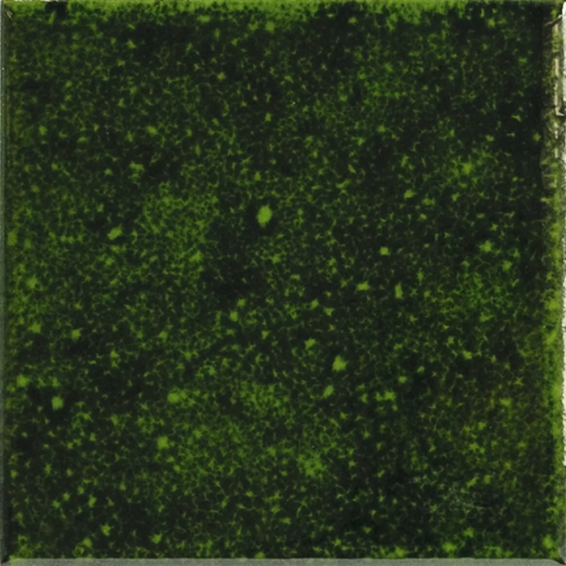 Плитка A041643 Genuine Emerald 10x10