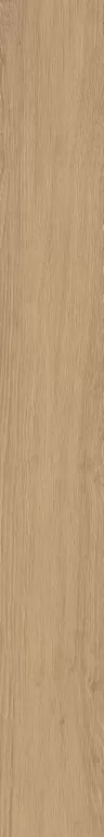 Керамогранит AV02 Alavesa Rusty Beige Неполированный Рект. 19,4x160x11