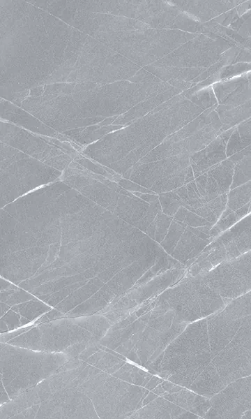 Плитка Elegance Grey 02 30x50