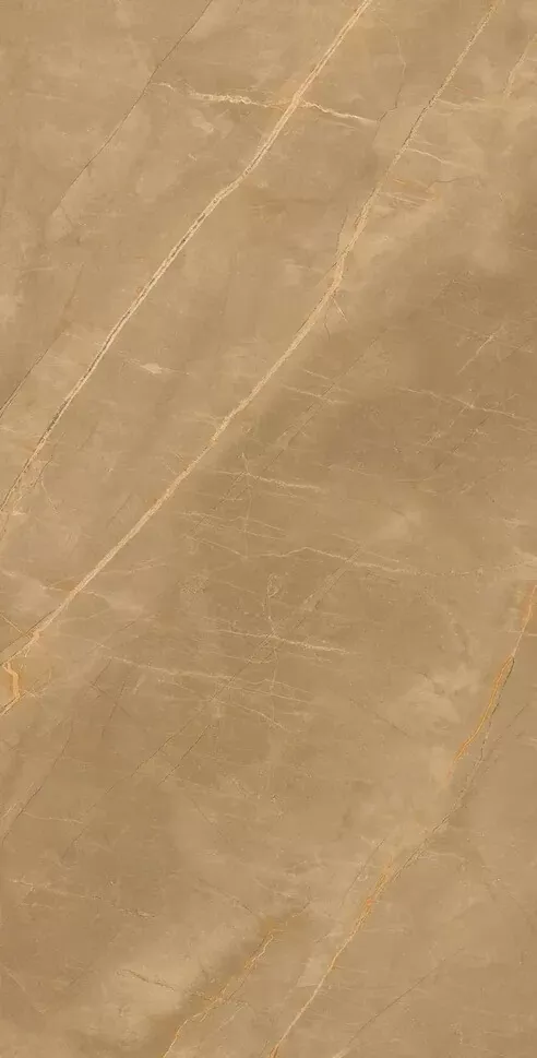 Керамогранит Eco Marble Royalish Brown 120x60