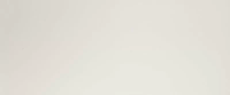 Плитка fPK4 Lumina White Gloss RT 50x120