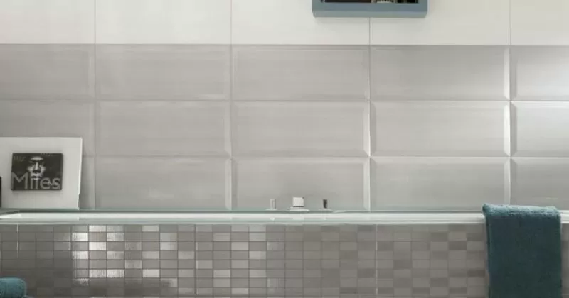 Плитка MKCZ Mosaico 20х50