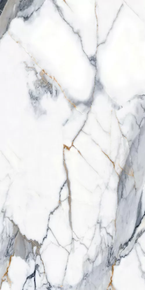 Керамогранит BHM-5002 Calacatta Gold digital glazed-3D ink 60x120