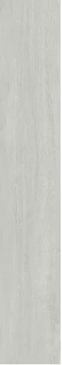 Керамогранит BNS212001 Ash 20x120